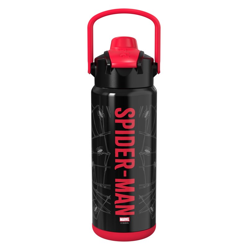 Spiderman 20oz Stainless Steel Water Bottle - Black