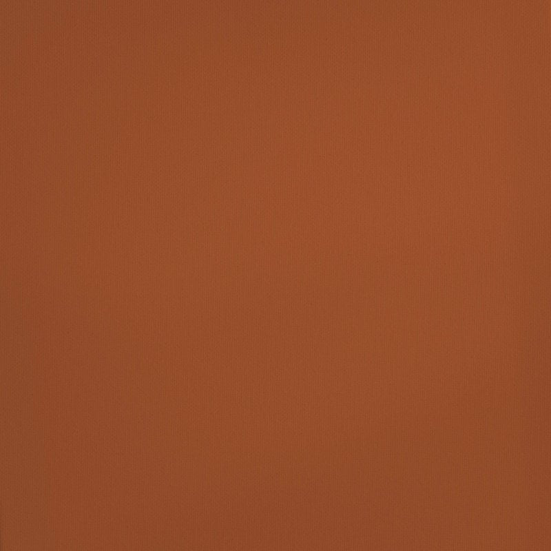 Acrylic Artist Paint - Raw Sienna, 120ml Tube - Vibrant & High-Quality