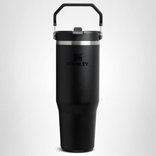 Stanley IceFlow 2.0 Flip Straw Tumbler with Handle 20 oz | Twist On Lid and Flip Up Straw | Leak Resistant Water Bottle | Insulated Stainless Steel | BPA-Free | Black 2.0