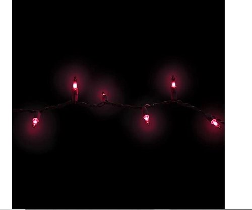 Greenbrier International Purple Halloween Mini Lights with Black Wire 20 Count 5 feet