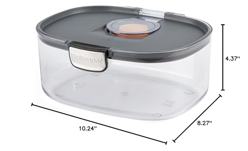 Progressive ProKeeper International Airtight Food Storage Container with Terracotta Disk for Freshness, Stackable & Dishwasher Safe, Ideal for Cookies, Baked Goods, & More 3 Quart, 3-Piece