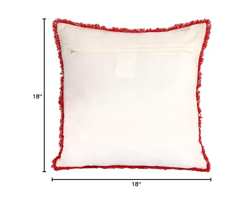 National Tree Company HGTDD94-20835CC Decorative Pillow, Blush