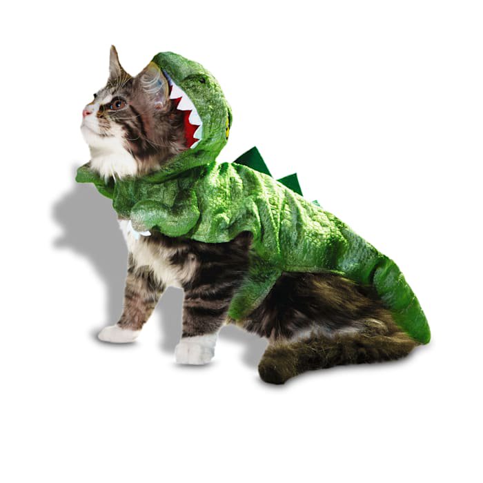 Large Dinosaur Pet Costume Hoodie for Halloween - Petco