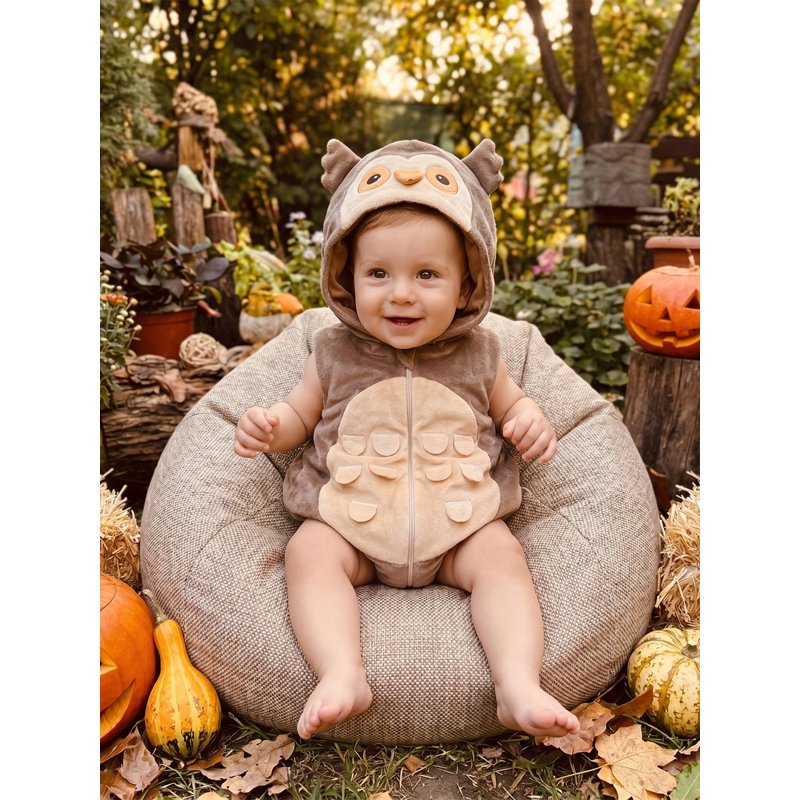 Newborn Baby Boy Halloween Owl Costume - Khaki, 3-6 Months