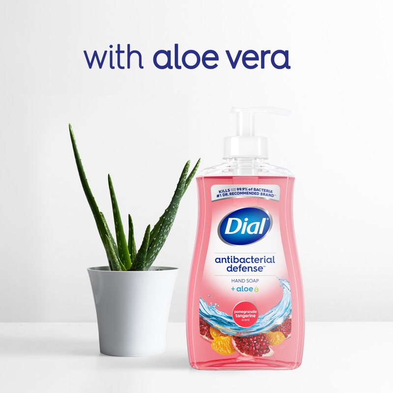 Antibacterial Liquid Hand Soap with Aloe Vera - 11 fl oz