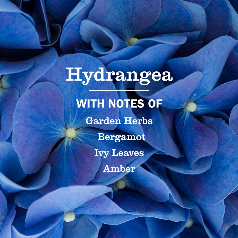 Mrs. Meyer’s Clean Day Liquid Hand Soap - Hydrangea Scent