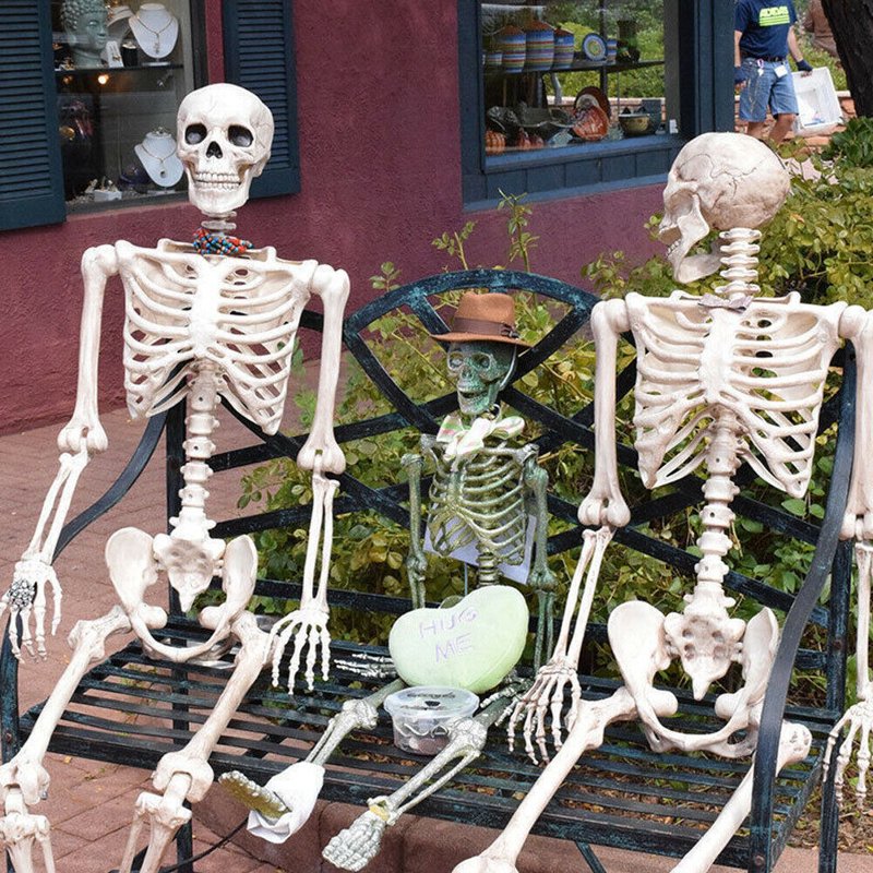 15.7 Inch Human Skeleton Halloween Decoration with Movable Joints - Party Prop