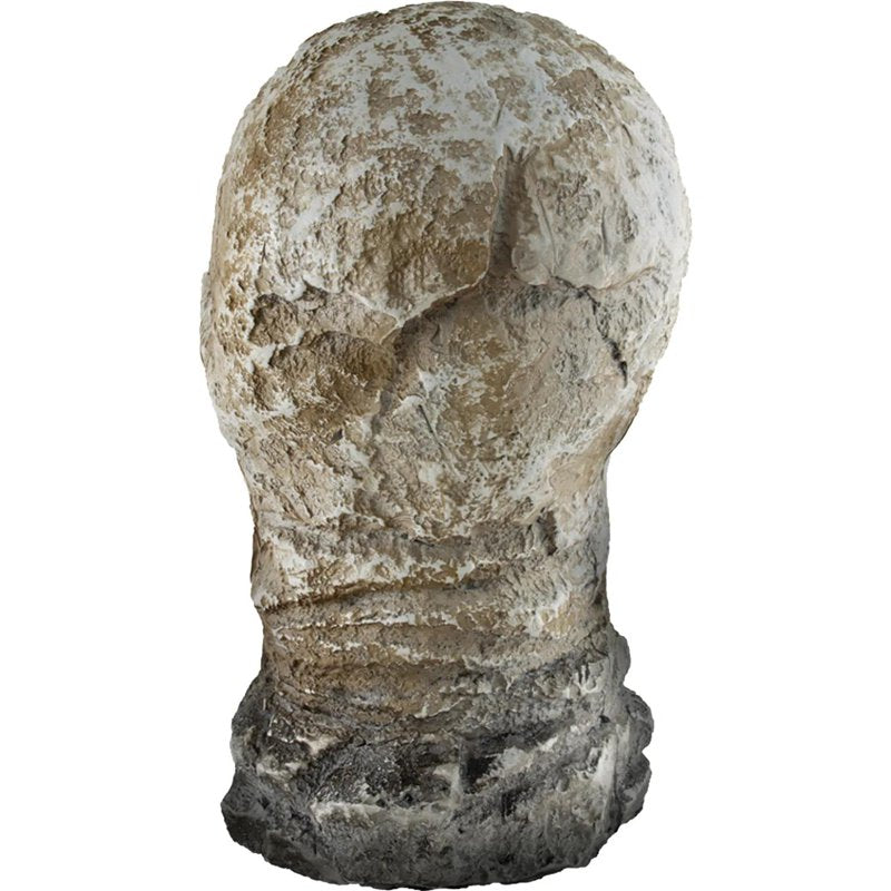12-Inch Light-Up Animated Skull Halloween Decoration with Flames