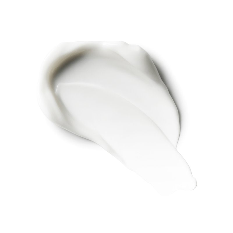 Spiced Pumpkin Pie Body Moisturizer with Natural Hemp Seed Oil