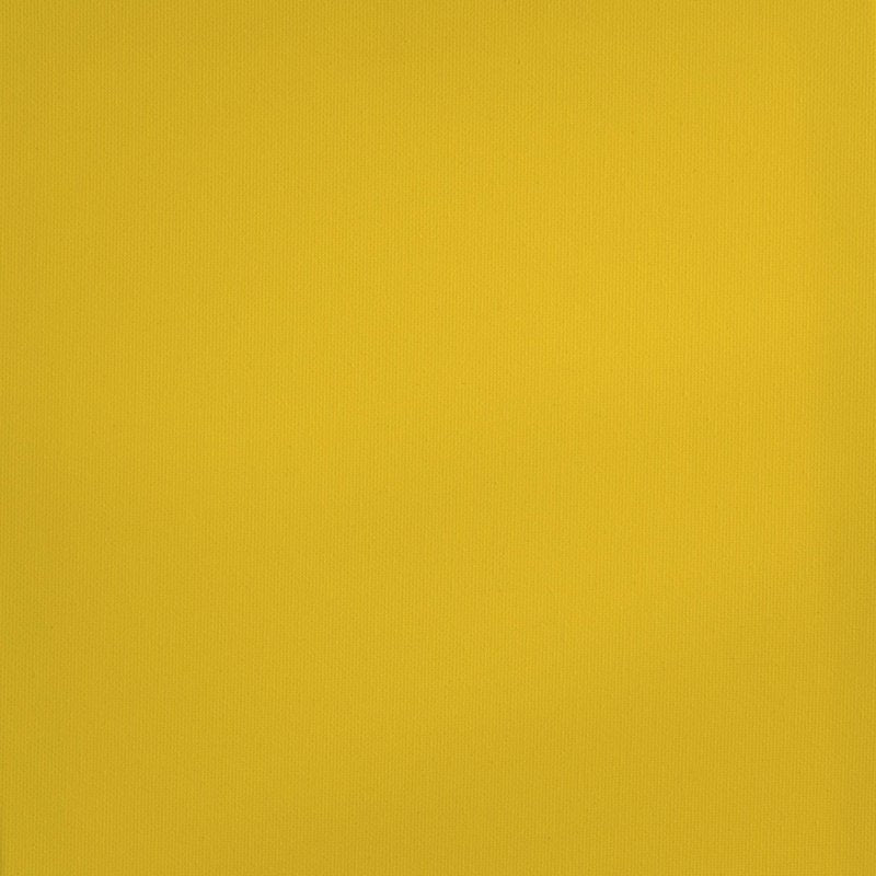 Acrylic Artist Paint 120ml - Primary Yellow, Vibrant & Smooth