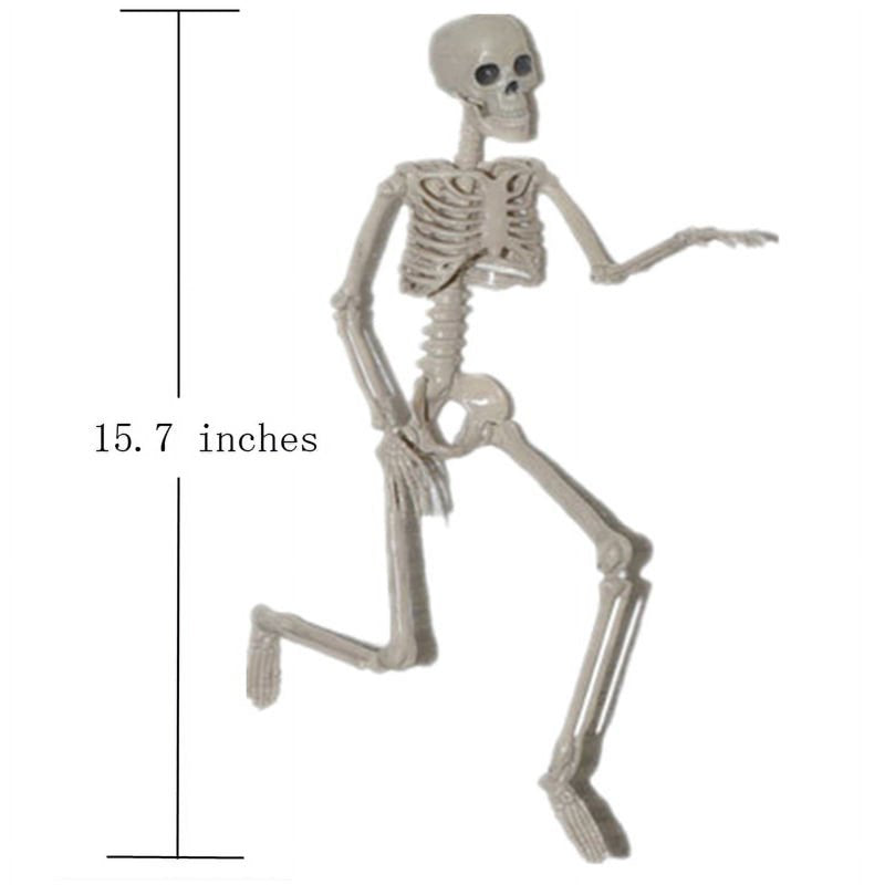 15.7 Inch Human Skeleton Halloween Decoration with Movable Joints - Party Prop