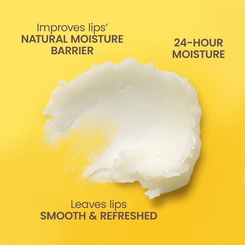 Natural Moisturizing Lip Balm Set - Beeswax & Fruit Flavors, 4 Pack
