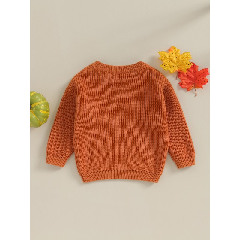 Toddler Baby Girl Boy Knit Sweater - Style 1, 6-9 Months, Long Sleeve Embroidered Pullover for Autumn Winter