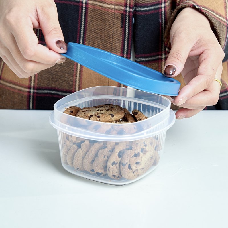 Reusable Small Square Food Storage Containers - 3-Pack, 2 Cups