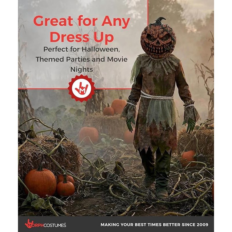 Halloween Boy Costume - Scarecrow Pumpkin Fancy Dress for Boys Medium - Variation M