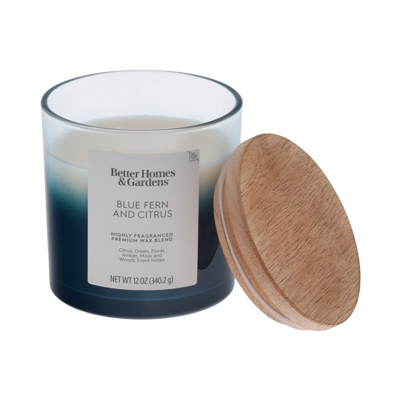 Blue Fern and Citrus Scented 2-Wick Ombre Jar Candle - 12 oz