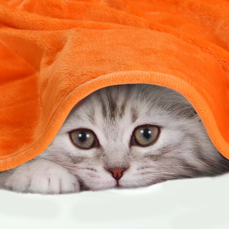 Twin XL Flannel Fleece Blanket - Soft Luxury Hemmed Orange