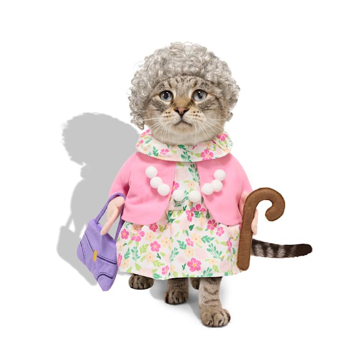 Petco Grandma Pet Costume Set - Medium with Wig & Illusion Costume