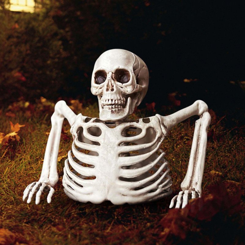 Half Skeleton Halloween Tabletop Decor - White Plastic Spooky Prop, Variation 032#B