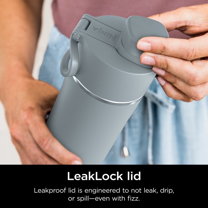 24 oz Stainless Steel Travel Water Bottle - Leak Proof, Gray