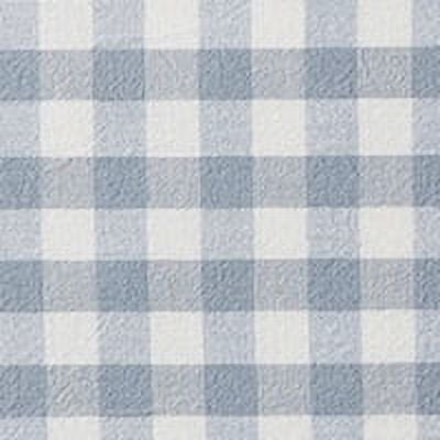 My Texas House Collins Blue Gingham Cotton Comforter Set Twin XL - 2 Pieces
