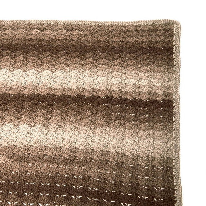 (2 Pack) Red Heart Ombre Yarn in Cocoa - Gradient Acrylic Crafting Yarn