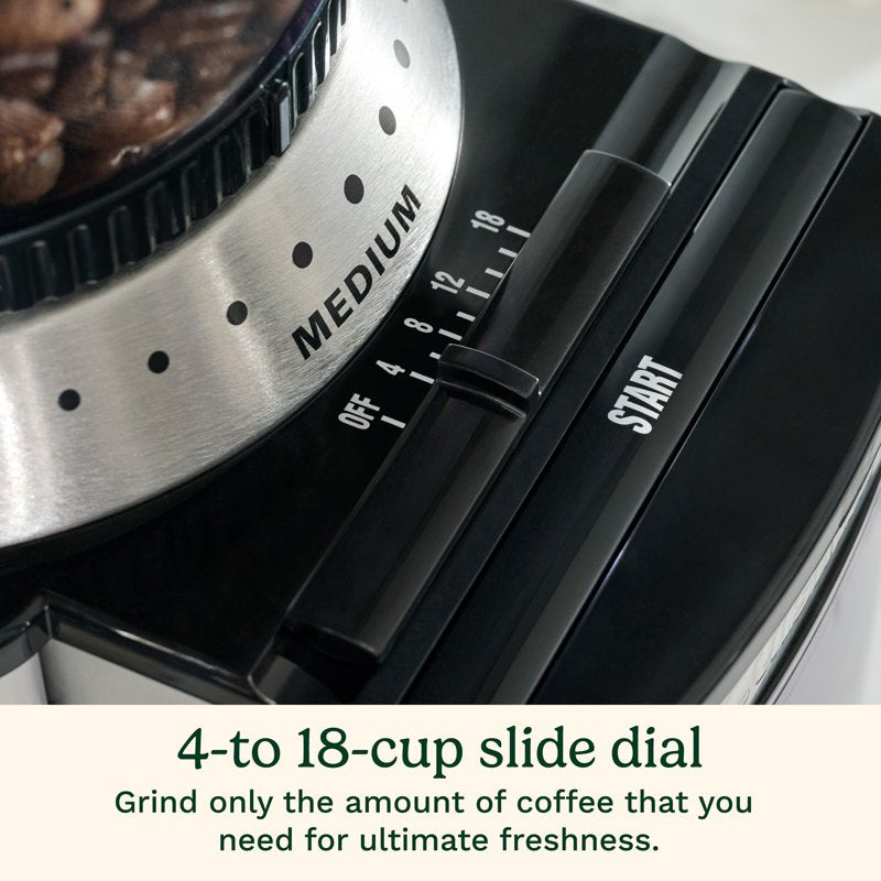 Electric Burr Coffee Grinder with 32-Cup Capacity - Stainless Steel