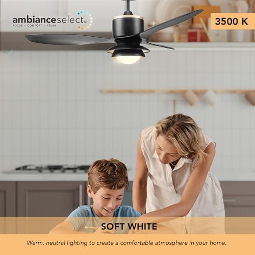 GLOBE Electric 27106 48" Ceiling Fan with LED Light, Remote Control, WhisperQuiet DC Motor, 6 Speeds, Black with Brass Accents, Reversable Airflow, Ceiling Fans with Lights, Ceiling Lighting