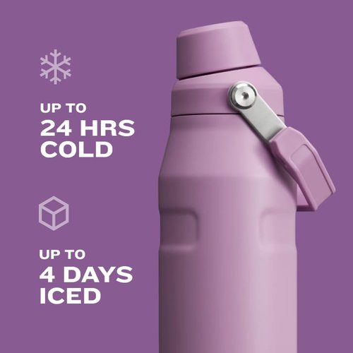 Stanley IceFlow Fast Flow Water Bottle 24 oz | Angled Spout Lid | Lightweight and Leakproof for Travel and Sports | Insulated Stainless Steel | BPA-Free | Dried Pine VRT