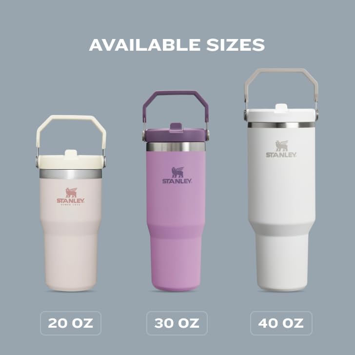 STANLEY IceFlow 2.0 Tumbler - 20 oz Insulated Stainless Steel Water Bottle | Flip Straw & Handle | BPA-Free | Twilight