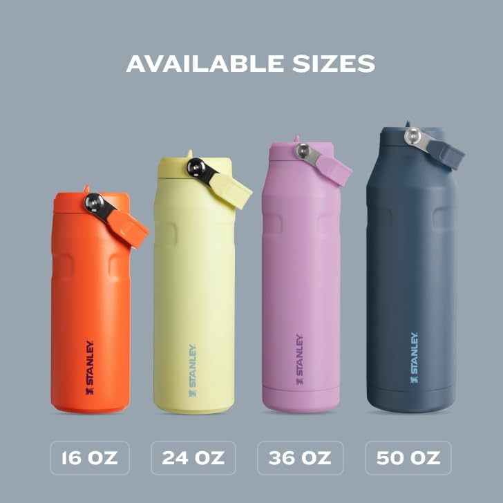 Stanley IceFlow 2.0 Water Bottle - 16 OZ Insulated Stainless Steel | Lightweight, Leak-Resistant & BPA-Free | Ash Color