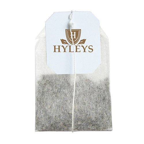 Hyleys Turmeric Green Tea - Green Tea with Turmeric Root - Raspberry & Cranberry Flavors - Herbal Tea Bags - 25 Individually Wrapped Tea Bags (12 Pack - 300 Tea Bags Total)