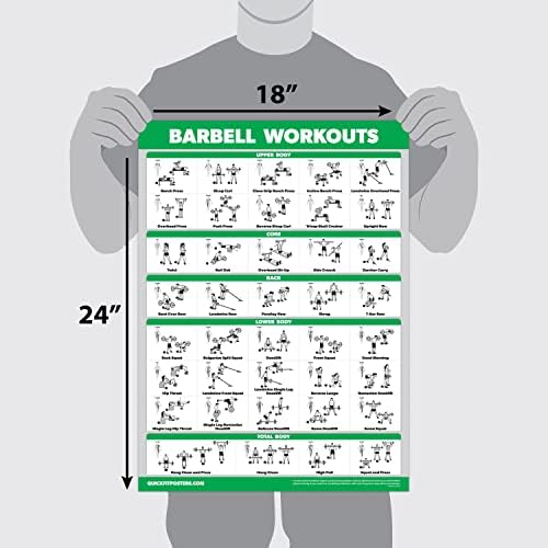 QuickFit Dumbbell Workout Posters - Laminated Exercise Charts Set of 3 (18" x 24") | Bodyweight & Barbell Routines
