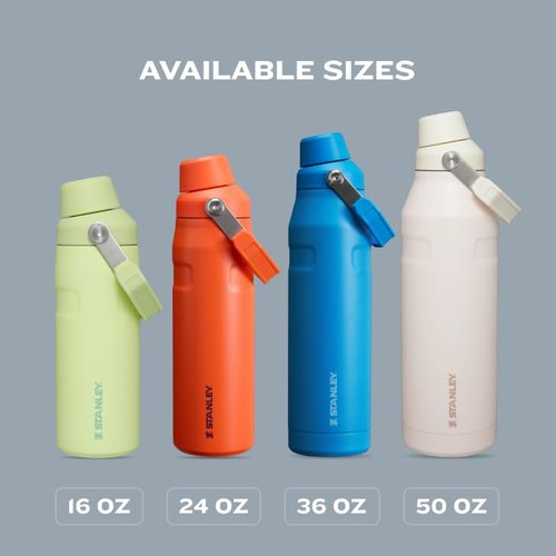 Stanley IceFlow Fast Flow Water Bottle 24 oz | Angled Spout Lid | Lightweight and Leakproof for Travel and Sports | Insulated Stainless Steel | BPA-Free | Dried Pine VRT