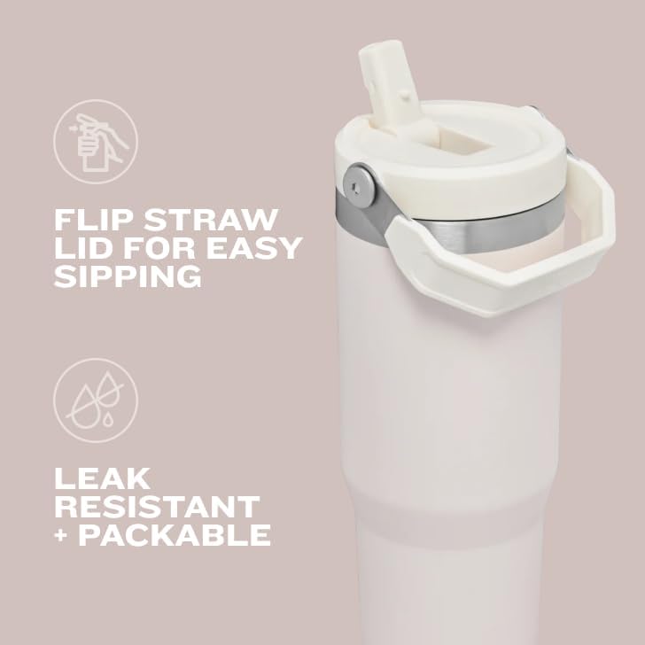 STANLEY IceFlow 2.0 Tumbler - 20 oz Insulated Stainless Steel Water Bottle | Flip Straw & Handle | BPA-Free | Twilight