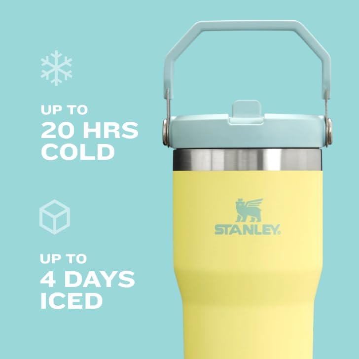 STANLEY IceFlow 2.0 Tumbler - 20 oz Insulated Stainless Steel Water Bottle | Flip Straw & Handle | BPA-Free | Twilight
