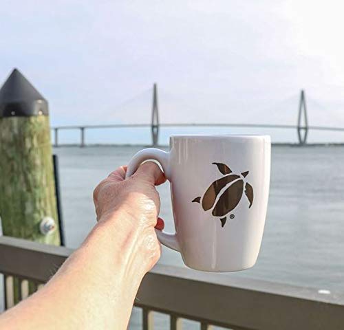 Charleston Coffee Roasters | Specialty Organic Ground Coffee | Hand Picked, Premium Slow Roast (Kiawah, Dark Roast) 12oz, 6 pack