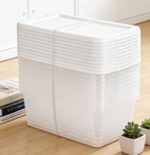 Regine Switzerland 10-Pack Clear Storage Boxes - Durable 6 Quart White Plastic with Snap-On Lids for Bedroom Organization
