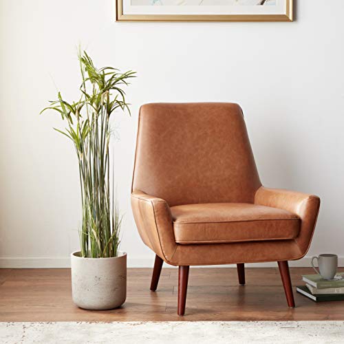 Nearly Natural Papyrus Plant with Faux Soil Arrangement
