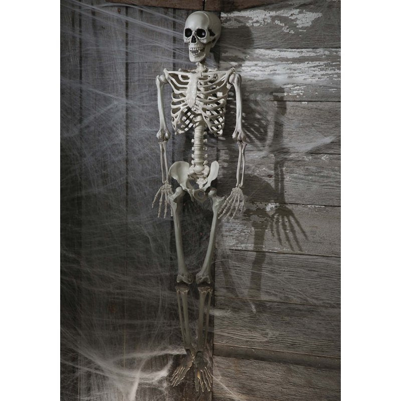 36-Inch Realistic Plastic Skeleton Halloween Decor - Human Skeleton Prop