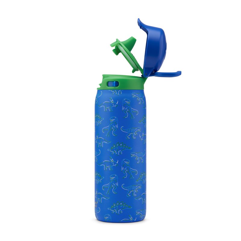 18oz Stainless Steel Water Bottle - Electric Dino Design