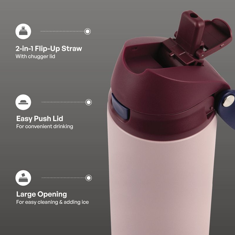 24oz Stainless Steel 2-in-1 Straw & Chug Water Bottle - Mauve