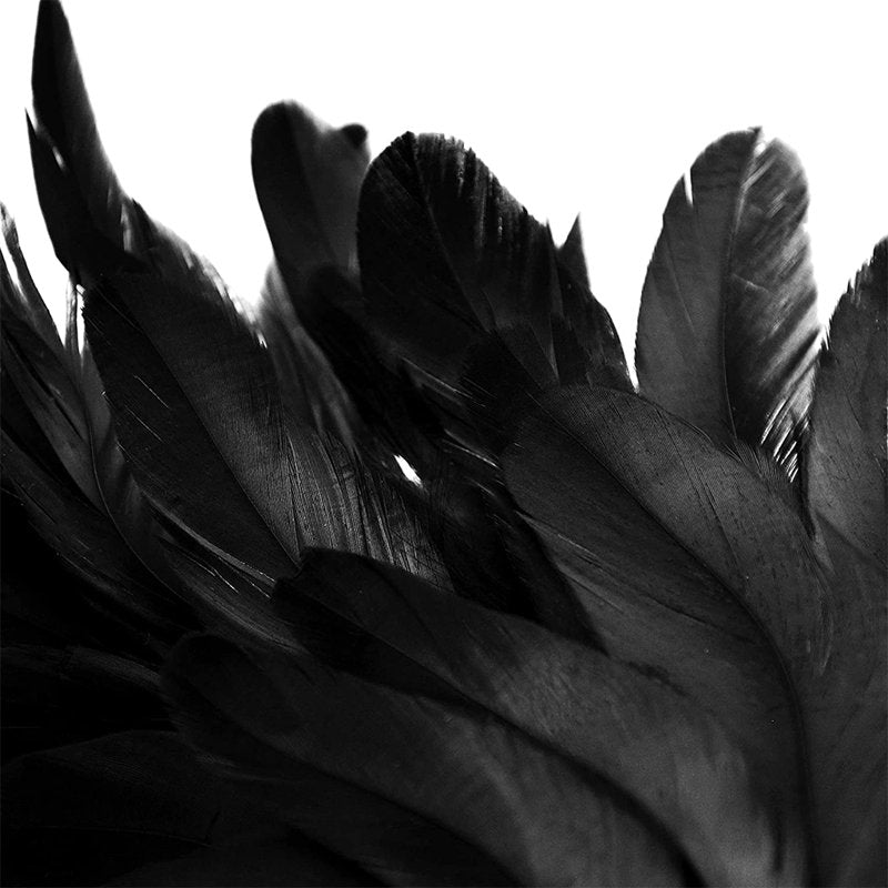 Black Feather Wreath for Halloween Front Door Decor - Spooky Scene Party Favors