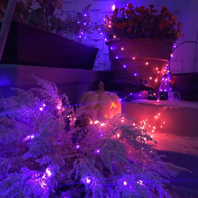 Purple Solar Fairy String Lights 33ft 100 LED Outdoor Waterproof 2 Pack with 8 Modes, Silver Wire for Garden Patio Halloween Christmas