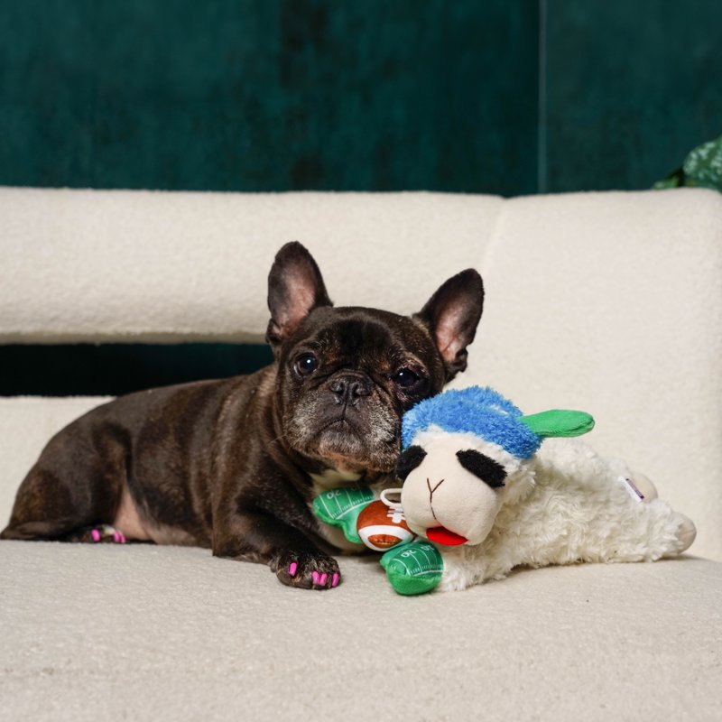 Medium Lamb Chop Dog Toy with Football Design - Plush Squeaky Toy for Dogs - Variation: Football