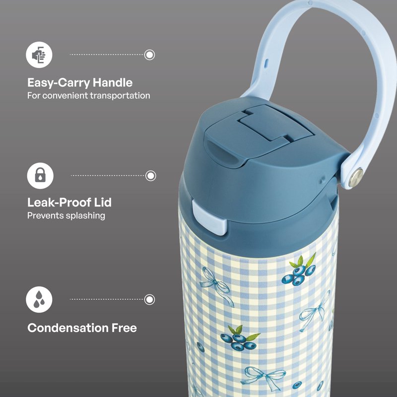 24oz Stainless Steel Insulated Water Bottle with Straw & Chug Lid - Blueberry