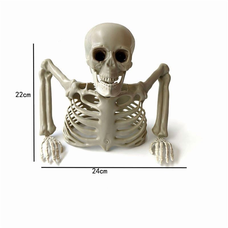 Halloween Skeleton Prop Half Torso White Plastic Tabletop Decor Variation 023#B