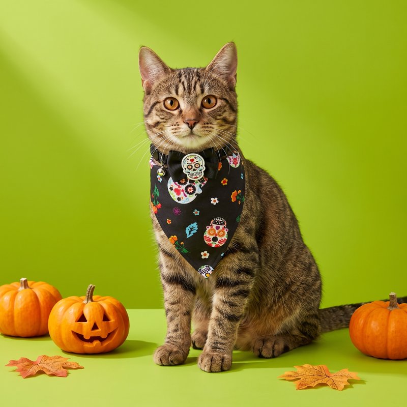Halloween Cat Collar Set with Bandana and Bow Tie - Adjustable, 3 Pieces