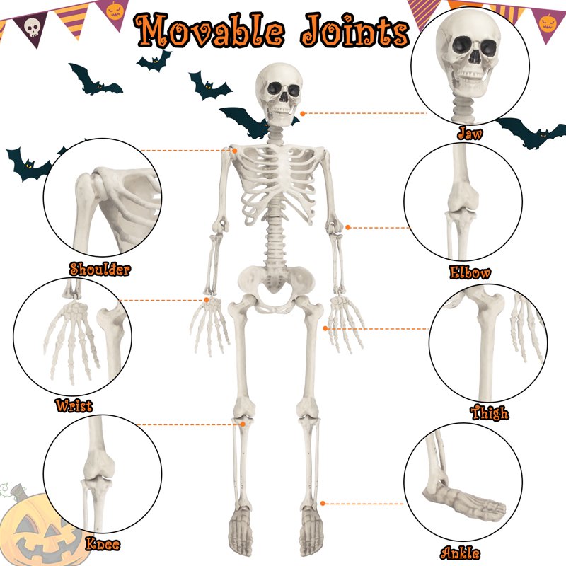 Halloween Skeleton Decoration, 38 Inch Full Body Plastic Skeleton with Movable Joints for Haunted House & Yard Decor