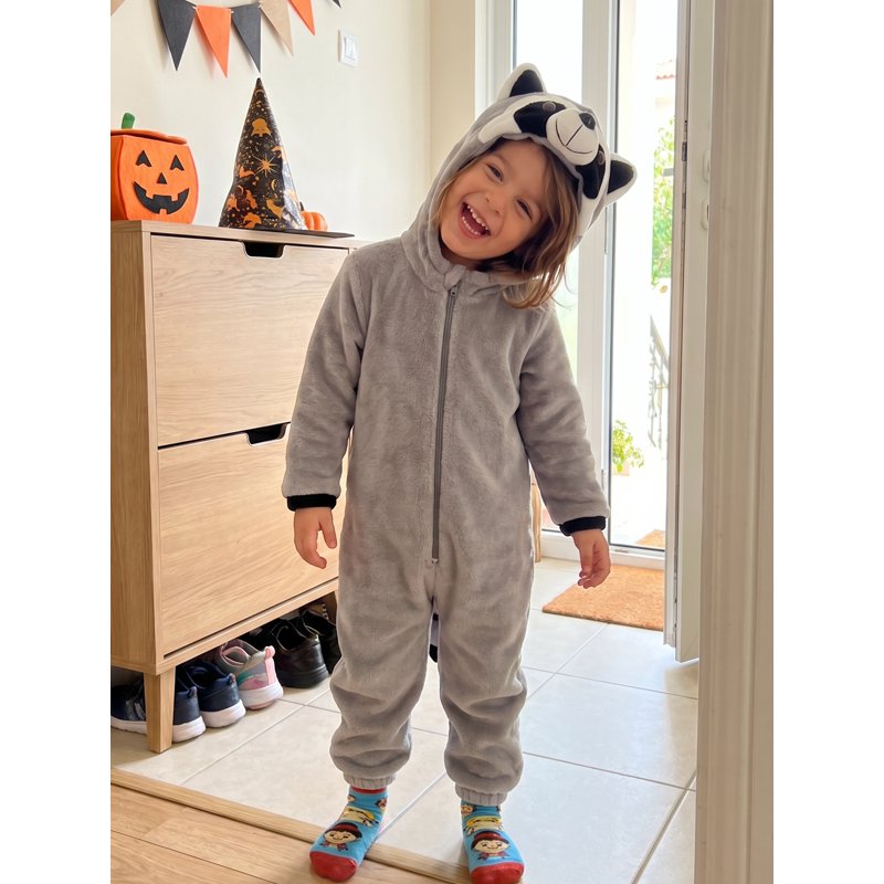 Gray Raccoon Toddler Halloween Costume Jumpsuit - 18-24 Months Fleece Romper